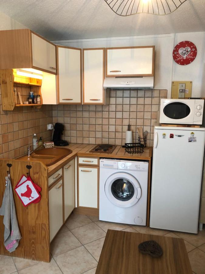 Appartement Rez De Jardin Montee De L'Alpe D'Huez La Garde  Zewnętrze zdjęcie
