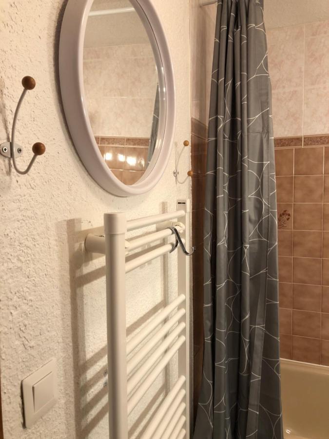 Appartement Rez De Jardin Montee De L'Alpe D'Huez La Garde  Zewnętrze zdjęcie