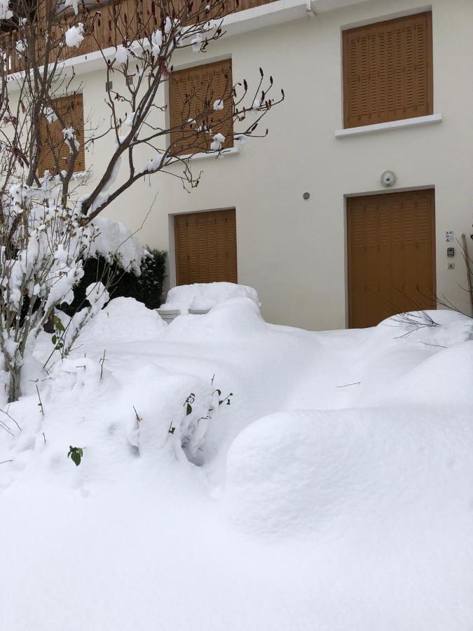 Appartement Rez De Jardin Montee De L'Alpe D'Huez La Garde  Zewnętrze zdjęcie